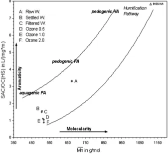Fig. 5. Composition ratio of the different NOM fractions in the different stages of the water treatment process (n=5).