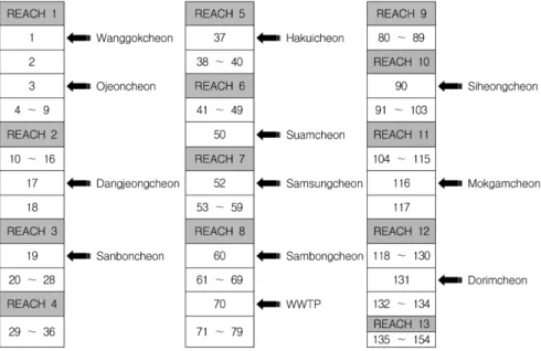Fig. 5. Schematic Diagram of QUAL2E for the Anyangcheon.  이용하여  수행함으로써  상하류  간의  일관성을  유지할  수  있도록 하였다