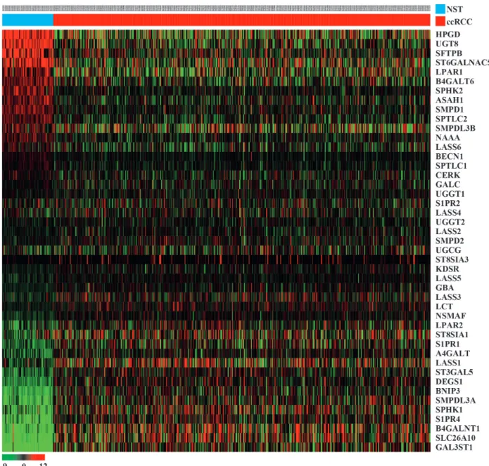 Fig. 1. Heatmap presenting the relative mRNA expression levels of the sphingolipid metabolism-related genes in the TCGA KIRC  cohort