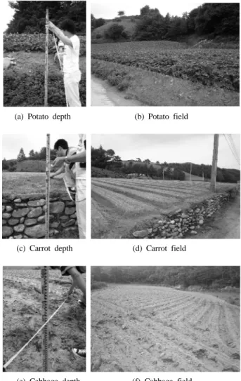 Fig. 5. Average soil depth for potato, carrot, and cabbage at  doam-dam watershed.