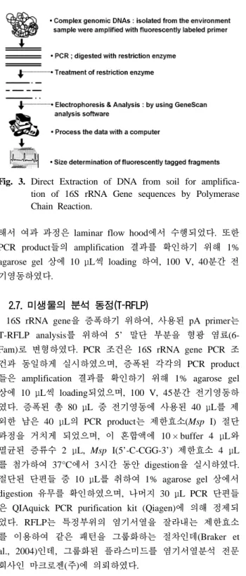 Fig. 3. Direct Extraction of DNA from soil for amplifica- amplifica-tion of 16S rRNA Gene sequences by Polymerase  Chain Reaction.