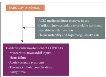 Fig. 1. Pathophysiology of cardiovascular involvement in COVID-19. 