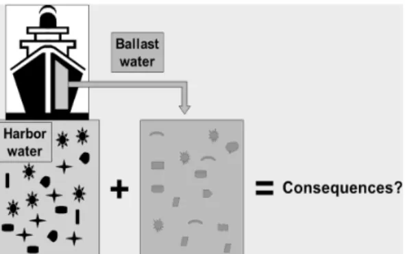 Figure 1. Illustration of ballast water and its implication  harbor environment[4]. 되고 있다고 추정되며 [6], 평형수 내 생물종의 국가  간 이동으로 인하여 생태계 교란뿐만이 아닌 다른  상업적 활동,  자원 및 연안 산업에까지 큰 피해를  유발한 것으로 나타났다[7,8]
