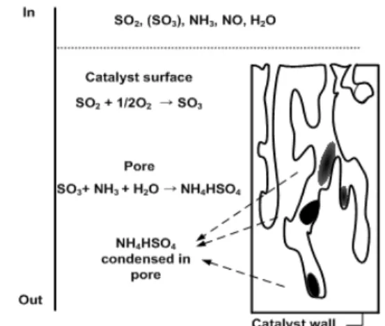Figure 5. Deactivation mechanism of catalyst by NH 4 HSO 4 .