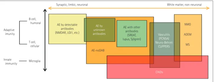 Fig. 2. Pathomechanism of autoimmune epilepsy. The pathomechanism of autoimmune epilepsy can be categorized into two axes: the targets of  autoimmunity and the types of autoimmunity