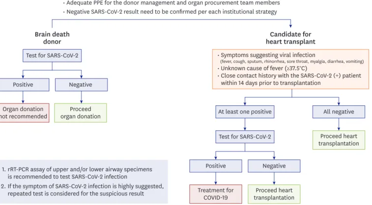 Figure 4. Algorithm of the SARS-CoV-2 Test Strategy for the brain death donor and candidate for heart transplantation during COVID-19 outbreak