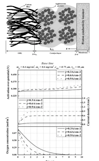 Figure 7. Schematic and responses of agglomerate model  along thickness. 성도를 예측하는데 용이하다고 볼 수 있다