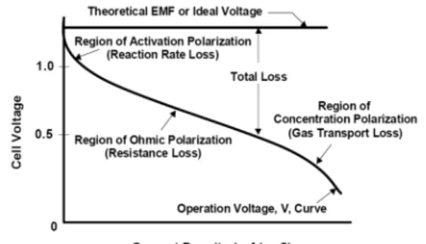 Figure 8. I-V performance curve with fuel cell losses.     =       (9c)   ,     ,    는 각각 노드에서의 전류,  산소 농 도 및 과전압이며,   ,   ,   ,   ,     등은 촉매층 내의  군체 파티클의 사양이다