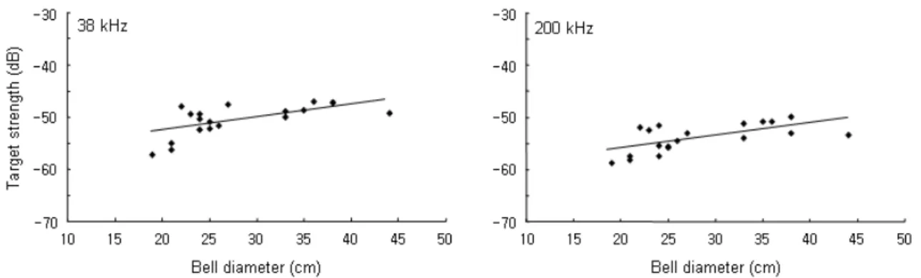 Fig. 4. TS value vs. bell diameter of C. nozakii at 38 and 200 kHz.