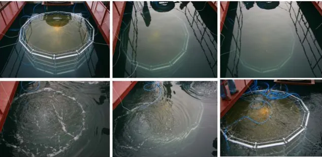 Fig. 3. Model submersible fish cage system during lowering(upper) and raising(below) by air control system.