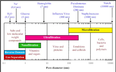 Figure 1. 기공크기에 따른 분리막 분류.