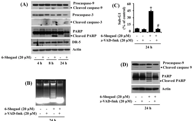 Figure 2. Effects of 6-Shogaol and/or z-VAD-fmk on the expression of procaspase-9/3, PARP, DR-5, nuclear DNA fragmentation, and sub G1 phase in SW872 cells