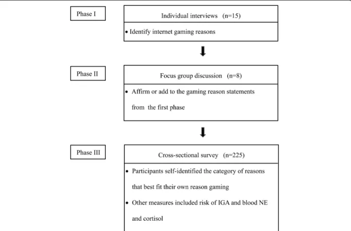 Fig. 1 Flow chart of selection process of the study participants and data collection. IGA: internet gaming addiction, NE: norepinephrine