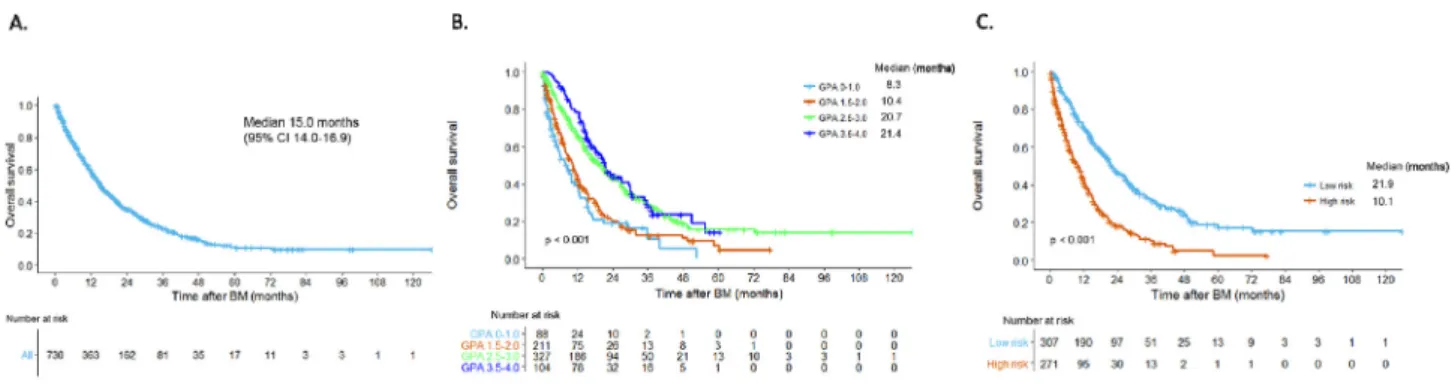 Fig. 1. Overall survival curve. (A) Whole cohort, (B) According to breast cancer speciﬁc-graded prognostic assessment, (C) According to our prognostic model.