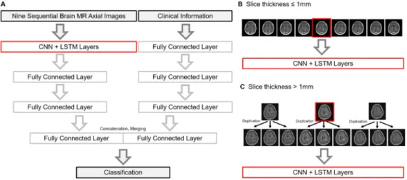 Figure 1. (A) Brief schema of the machine learning model. A graphical description how MR images  were used when the slice thickness was less than 1 mm (B) and thicker than 1 mm (C), respectively