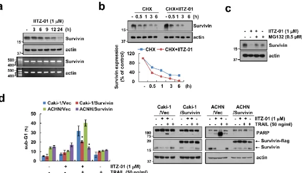 Figure 5. Survivin downregulation contributes to the sensitization effect of IITZ-01 on TRAIL-induced  apoptosis in Caki-1 cells