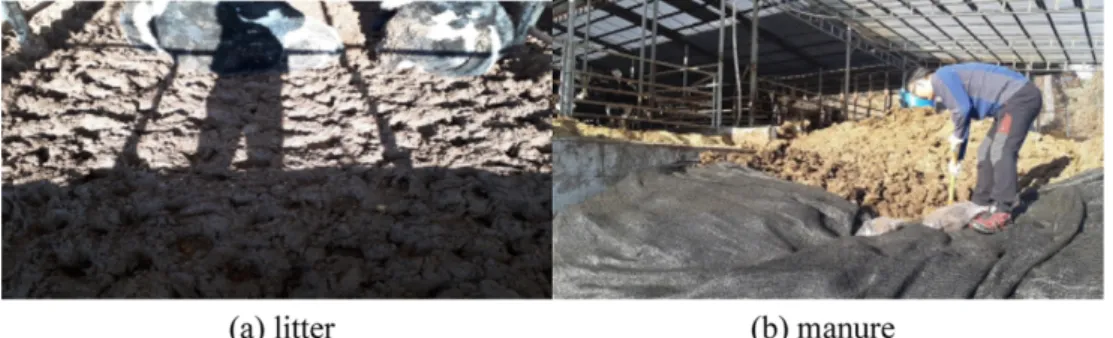 Figure 1. Sampling of (a) litter and (b) manure. 