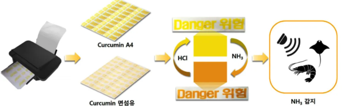 Figure 1. 커큐민 색소를 활용한 잉크젯 프린팅 및 식품 부패 감지 센서 모식도.