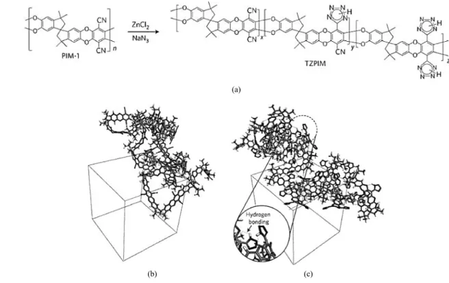 Figure 2. TZPIM과 PIM-1의 구조 모델링 도식도.