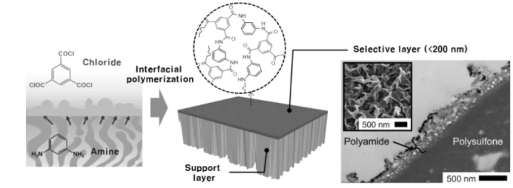 Figure 2. Preparation of thin film composite membrane via traditional interfacial polymerization of amines and chlorides