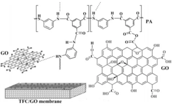 Figure 9. Graphene oxide (GO) embedded thin film  composite membrane.
