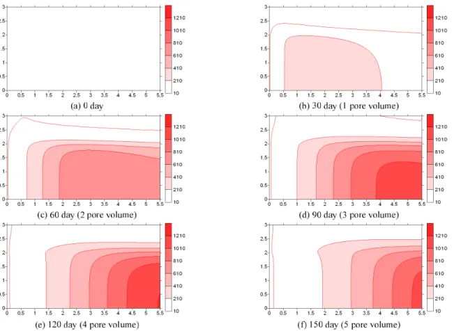 Figure 16.  Concentration distributions of dissolved diesel over time when the hydraulic conductivity oflayer 2 is 20 times larger than that of  layer 1