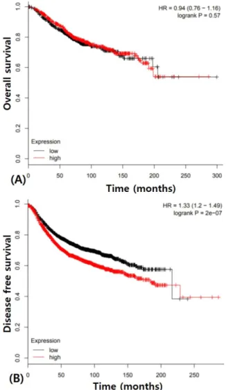 Figure 3. Survival analysis in breast cancers according to PIK3CA expression using  The Cancer Genome Atlas (TCGA) data (A) Overall survival (B) Disease free survival