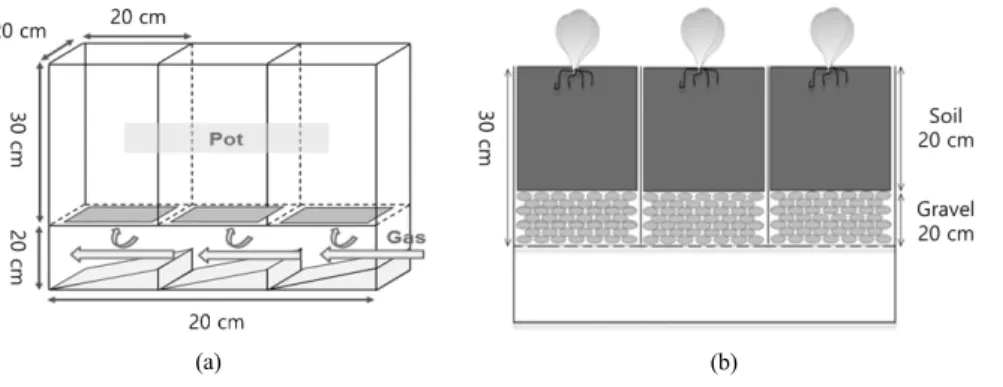 Figure 3. Diagram of the growth box (a) and set-up (b) for the experiment.