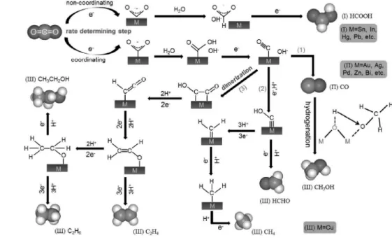 Figure 2. Schematic illustration of the different electrochemical carbon dioxide conversion mechanisms depending on the  various metal electrocatalysts.