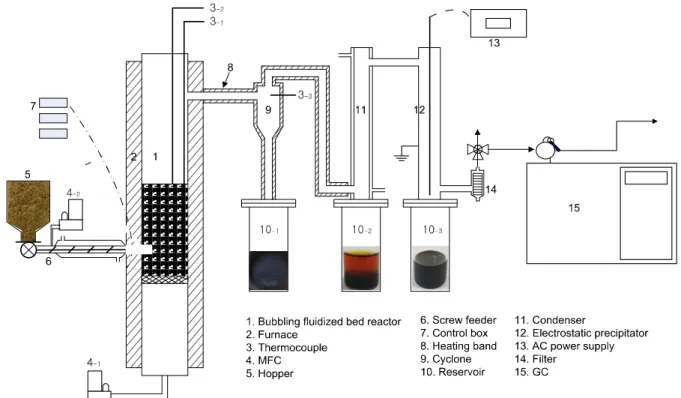 Figure 1. Schematic diagram of  a bubbling fluidized bed reactor for fast pyrolysis. 