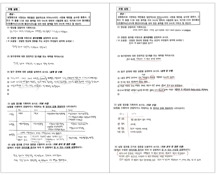 Figure 2. Examples of report writing.