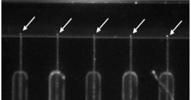 Fig. 2 Controlled and aligned nanoparticles  (QDs) at nanowire electrode array 