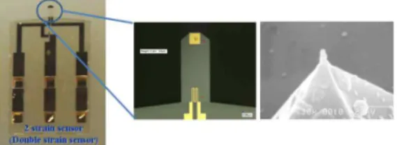 Fig. 2 The fabricated SU-8 cantilever and SEM image  of the tip. 