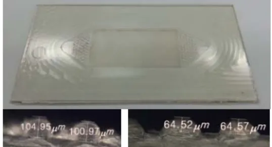 Fig. 2 A cross section view of the micro channel  injection molded with optimized process conditions 