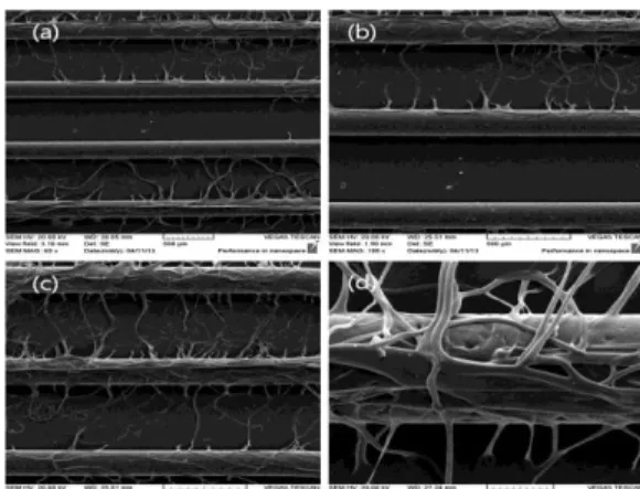 Table 1 Process condition for micro pattern and  nanofiber fabrication 