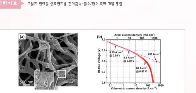 그림 4. MOF를 기반으로 합성한 다공성 섬유형 Fe–N/C 촉매의 (a) 주사전자현미경 사진과 (b) PEMFC 단위전지 부피성능 [29].