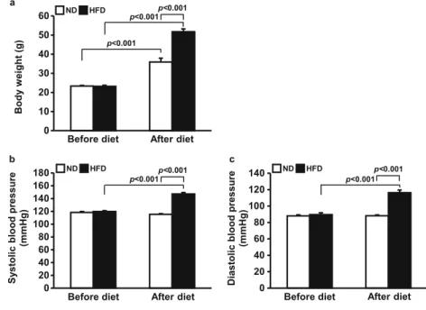 Fig. 1 Increased body weight and blood pressure by HFD. Mice were fed either ND or HFD for 17 weeks