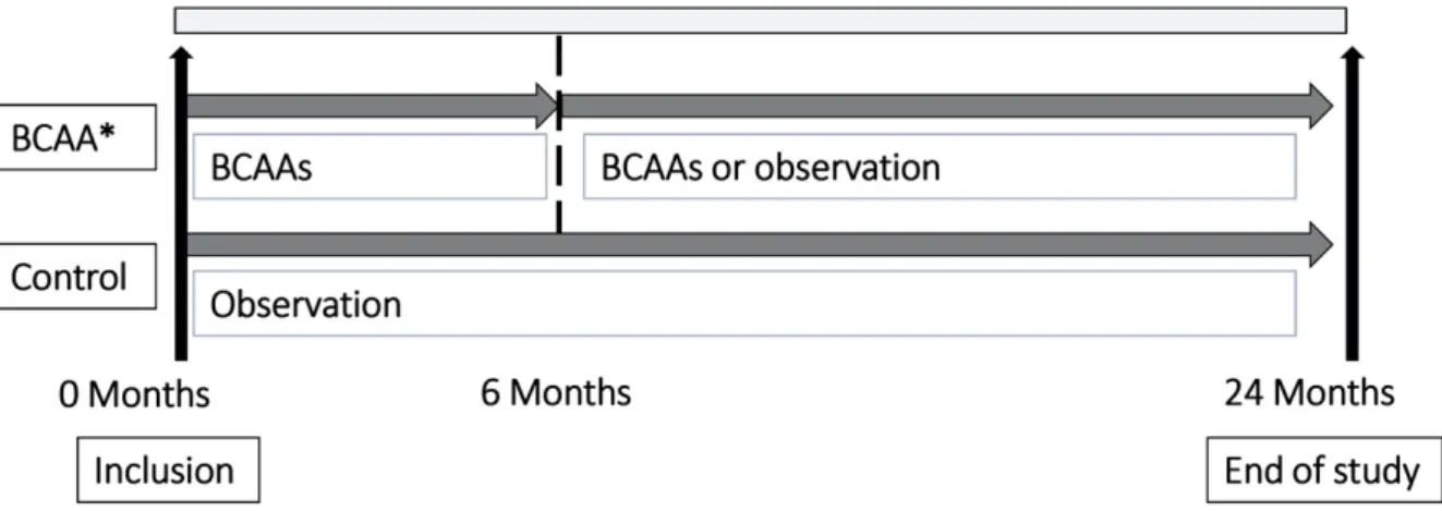 Figure 1. Scheme of the study. * Adherence of patients to prescribed BCAAs was > 80%