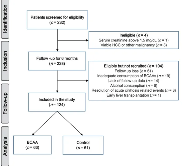 Figure 2. Flow diagram of the study. HCC, hepatocellular carcinoma; BCAA, branched-chain amino acid.