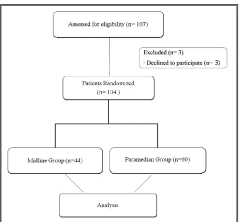 Fig. 1. Flow chart showing patients who participated in this study.