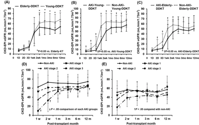 Figure 2.  Comparison of the change in allograft function (eGFR by CKD-EPI) after KT (A) between young- DDKT and elderly-DDKT groups and between non-AKI-DDKT and AKI-DDKT subgroups within (B)  DDKT and (C) elderly-DDKT groups