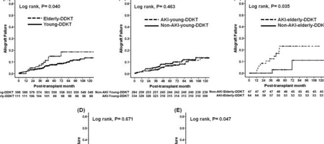 Table 4.  Hazard ratios of allograft failure according to donor age (&gt;60) or acute kidney injury