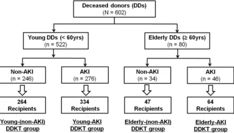 Figure 4.  Patient algorithm and distribution in this study. DDs were classified into elderly DDs and young  DDs based on an age of 60