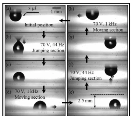 Fig.  4:  Three-dimensional  manipulation  of  a  droplet  in parallel plates using AC-EWOD actuation: (a-c,  e-g)  Vertical  transportation  of  the  droplet  actuated  by  AC-EWOD  at  44  Hz;  (c-d,  g-h)  Horizontal  transportation  of  the  droplet  a