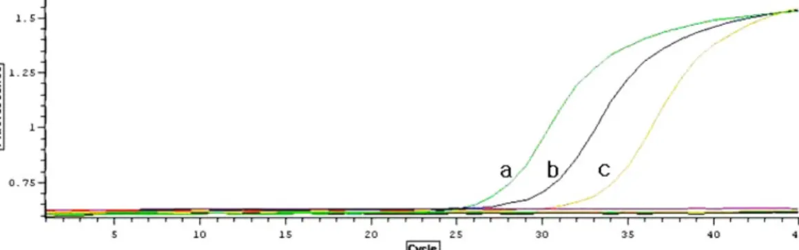 Fig. 6. Sequencing analysis for HBV precore gene genomic DNA. 