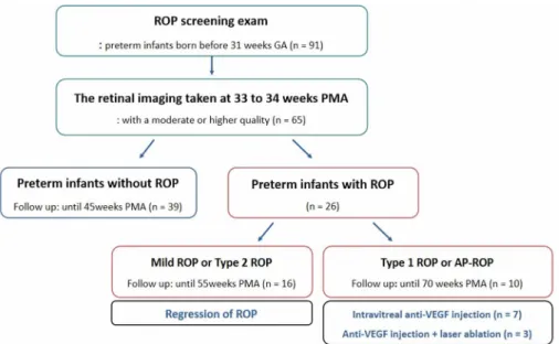 Table 1.   Comparison of preterm infants (n = 65) with and without retinopathy of prematurity