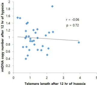 Fig. 2. Comparison of mitochondrial copy number among three groups (Con- (Con-trol, 12 h hypoxia, and 24 h hypoxia)