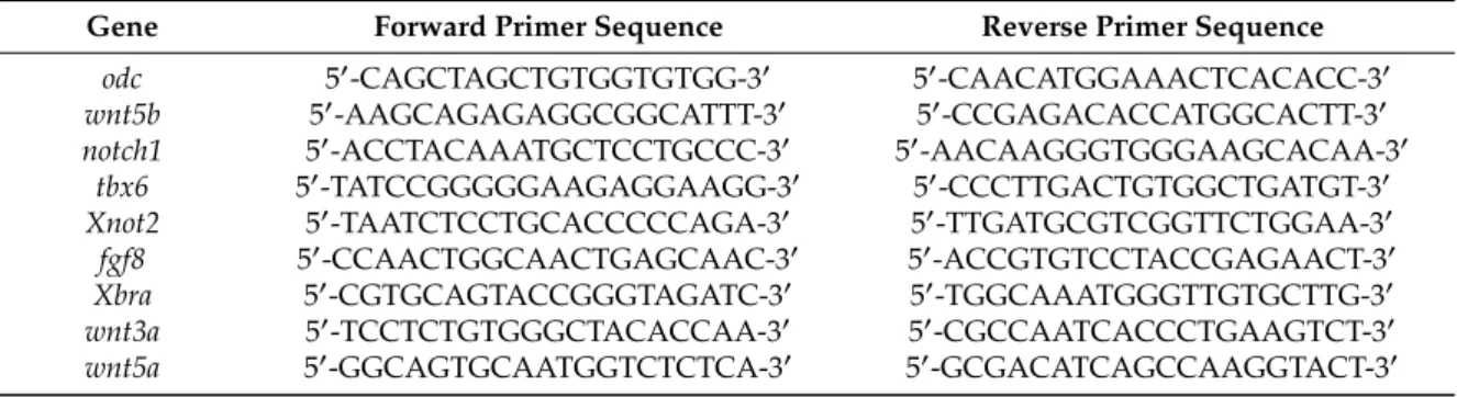 Table 1. List of Primers for RT-PCR