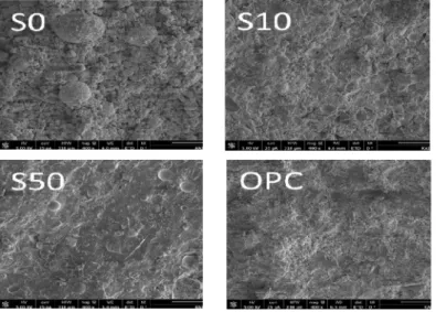 Figure  4.  SEM  images  of  samples  (400  x  magnification)