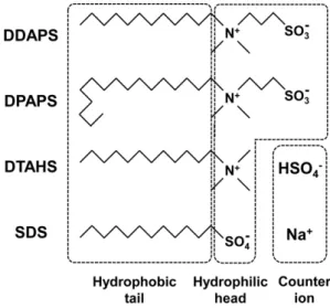 Fig. 1. The molecular structures of various ionic surfactants used in this study